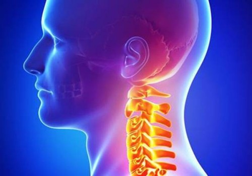 珠海供卵试管：6bc囊胚解冻复苏成功率，一文带你了解有多高