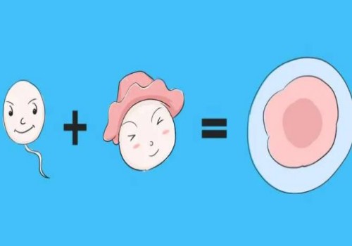 女性有多少个基础卵泡才算正常