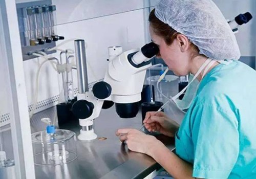 试管婴儿未见原核，再一次引领人类的科技进步