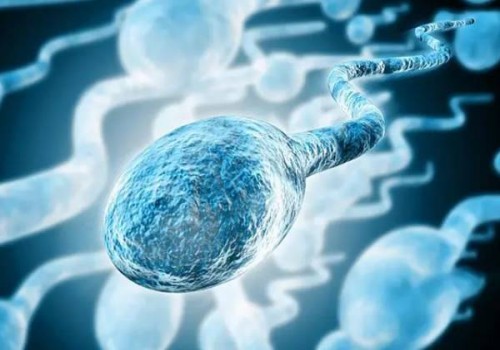 珠海试管助孕价格：试管移植前热敷肚子的好处多多，不过移植后可别继续热敷