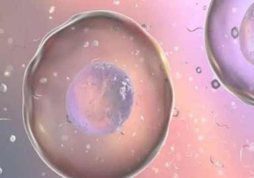 珠海试管助孕公司：2023忻州人民医院试管婴儿助孕攻略，助孕成功率预估