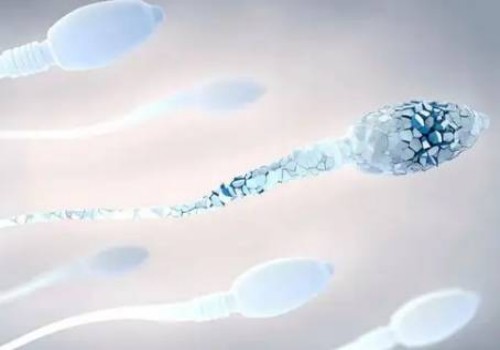 备孕男性年龄大只是生女儿的特点之一，还有什么能备孕女孩一起看看吧