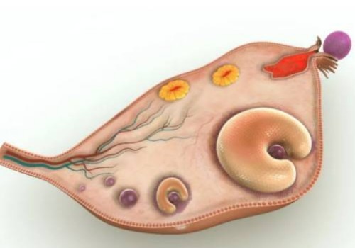 为让女儿长高，母亲逼女儿每天跳绳三千个，不料结果...