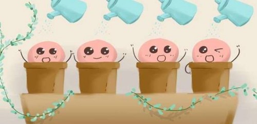 2023年宣城市人民医院试管婴儿攻略，附成功率及成功经验分享！