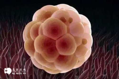 男性染色体y缺失做试管,能否顺利成功