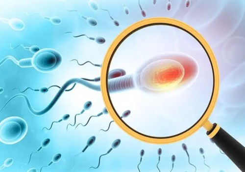 珠海助孕机构：2023徐州三代试管婴儿价格表,流程、成功率、费用抢先看