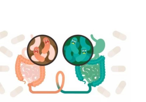 珠海三代试管助孕：2023忻州市人民医院试管婴儿医疗团队介绍，费用及成功率参考