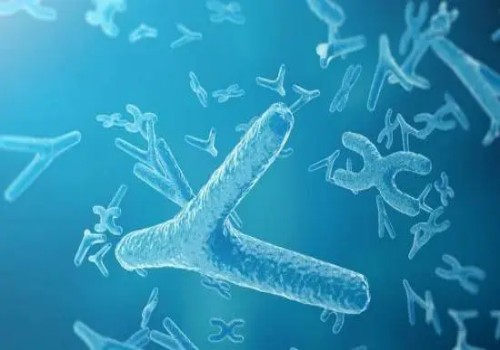 多喝豆浆还可以治疗多囊卵巢综合症？是真是假进来一看便知