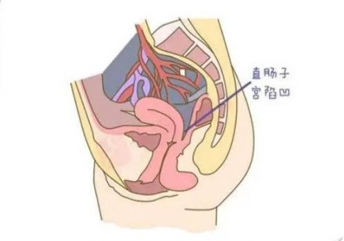 2023南通妇幼保健院试管婴儿完整攻略手册，附成功率参考
