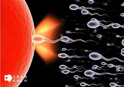 珠海试管助孕公司：新生儿哪几个月最磨人-