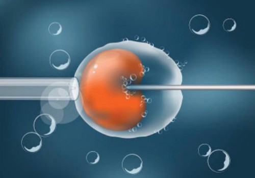 2022生二胎对于高龄产妇来说该注意什么来减少危险-