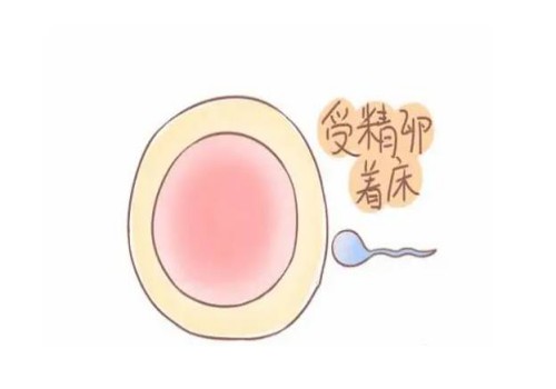 2023长春市妇产医院试管婴儿成功坏孩子策略，助孕成功率多少